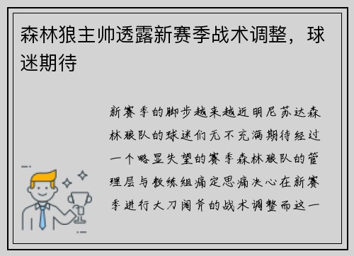森林狼主帅透露新赛季战术调整，球迷期待